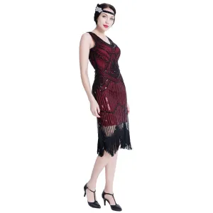 1920s Gatsby Themed Party Flapper Dresses Sequins Party Dress |JaosWish