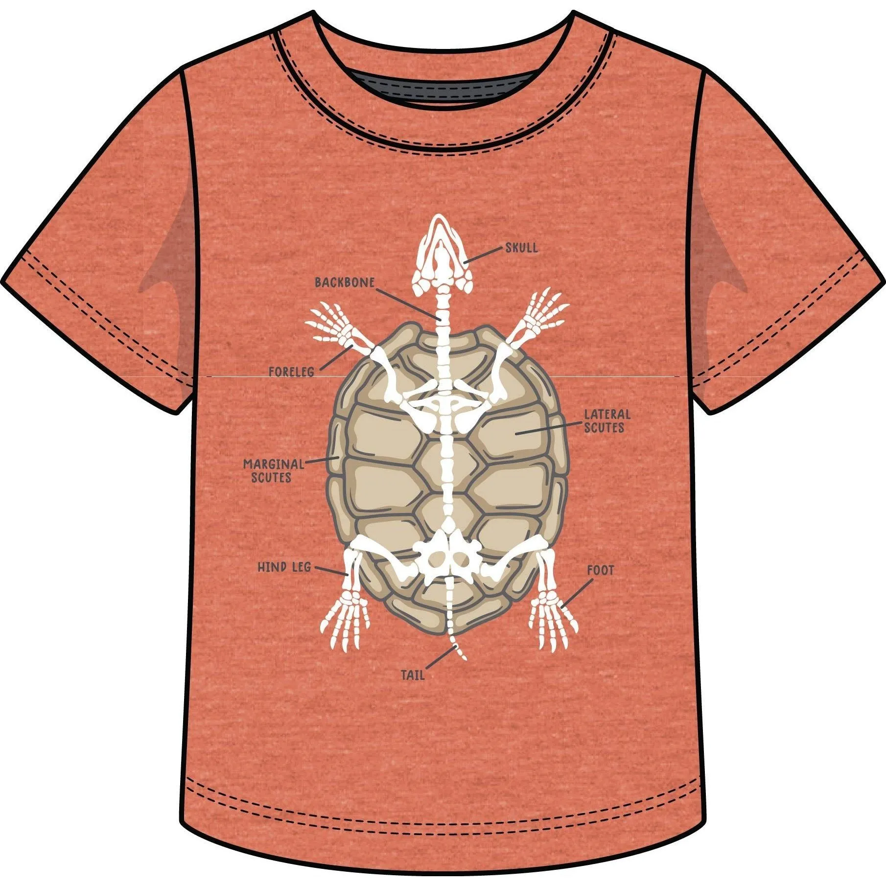 CR Sports Glow in the Dark Turtle Anatomy Tee - Heather Orange
