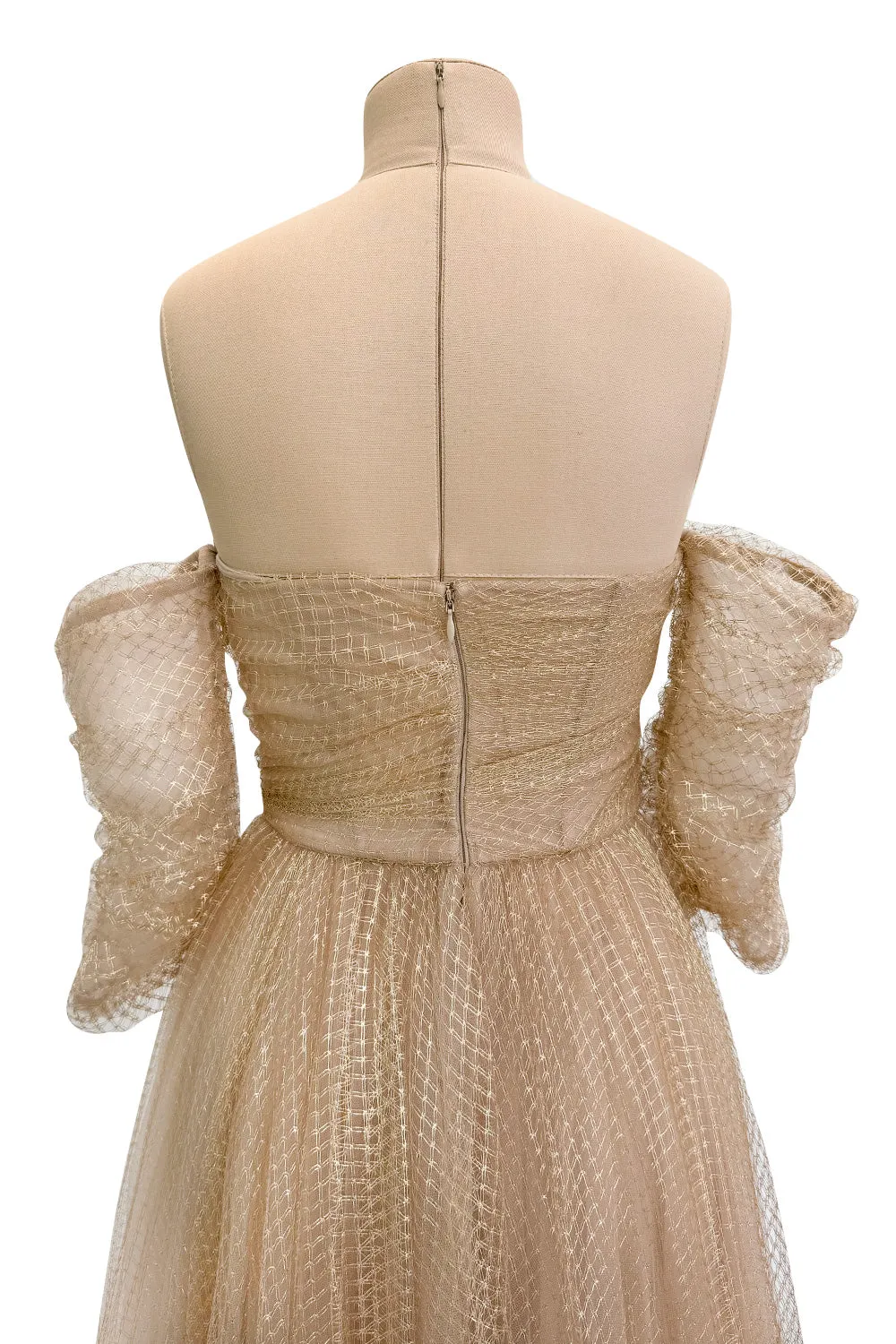 Magical Fall 2021 Christian Dior by Maria Grazia Chiuri Fine Gold Metallic Net Dress w Full Skirt
