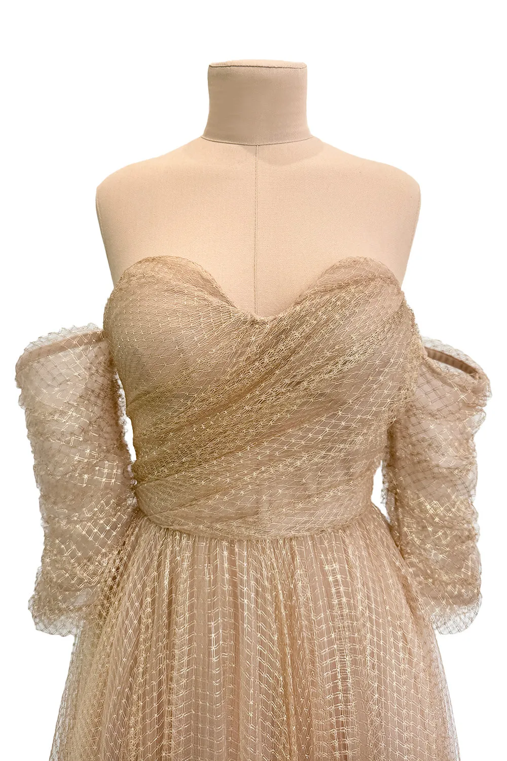 Magical Fall 2021 Christian Dior by Maria Grazia Chiuri Fine Gold Metallic Net Dress w Full Skirt