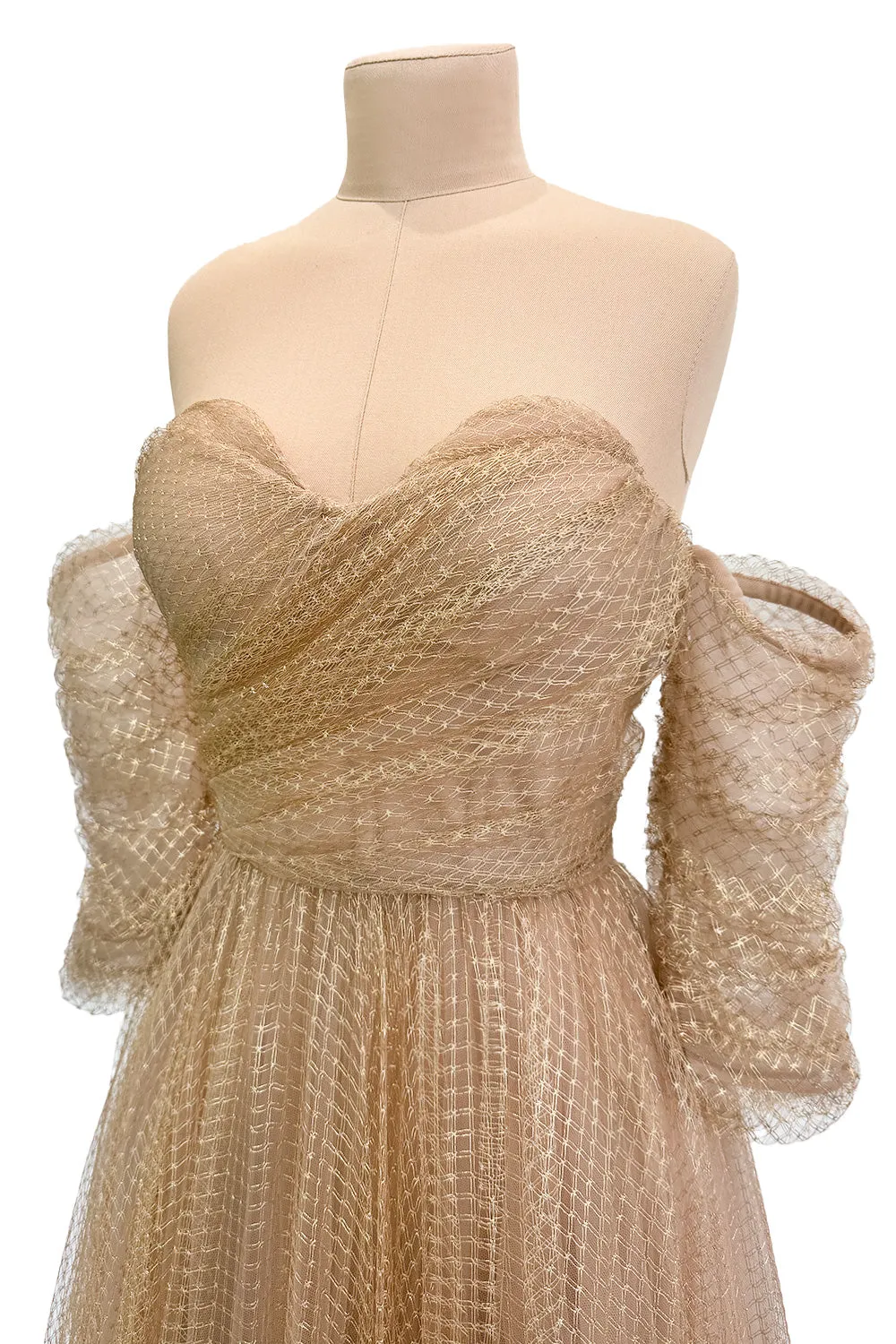 Magical Fall 2021 Christian Dior by Maria Grazia Chiuri Fine Gold Metallic Net Dress w Full Skirt