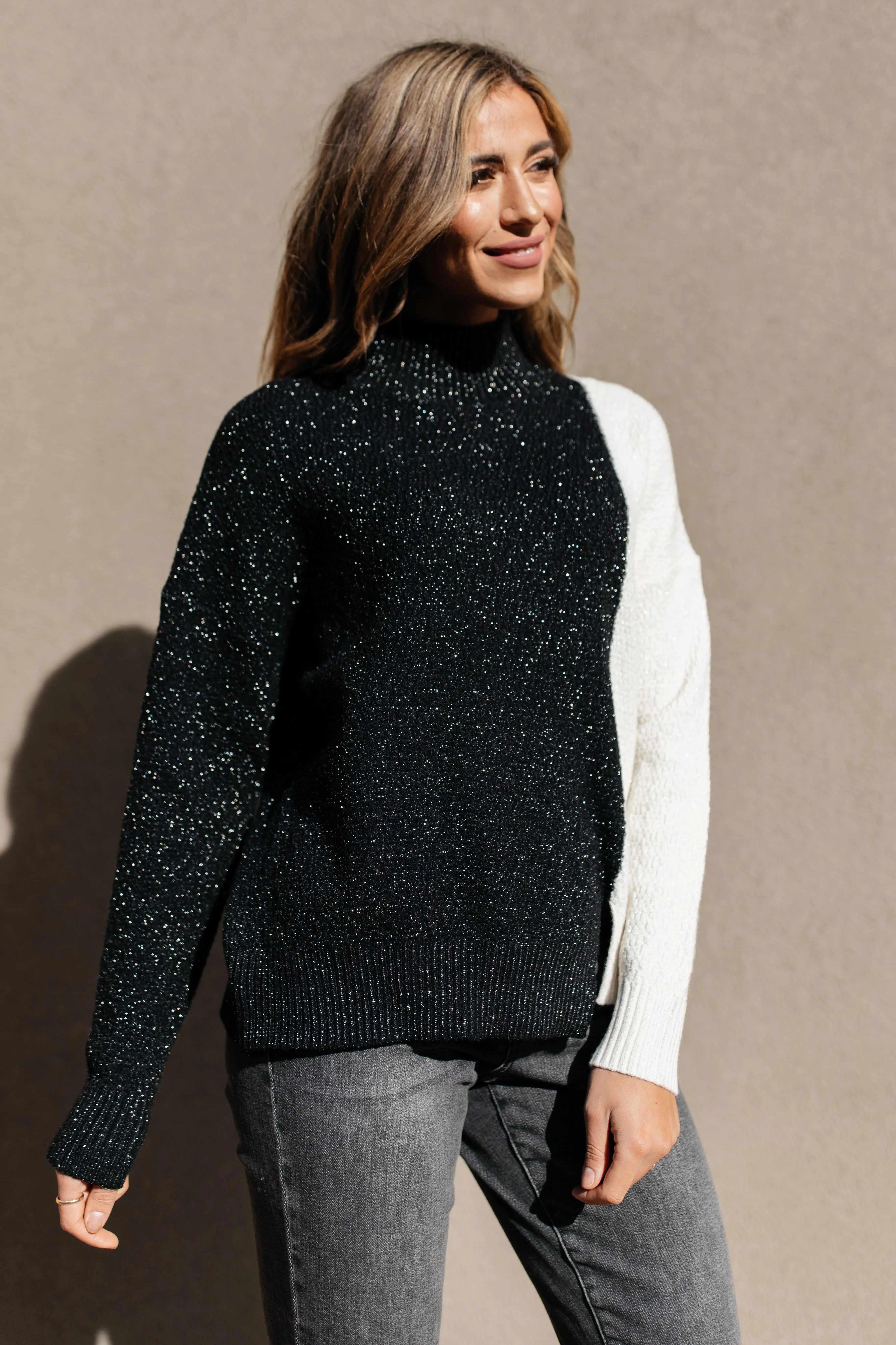 Mostly Dark Turtle Neck Sweater