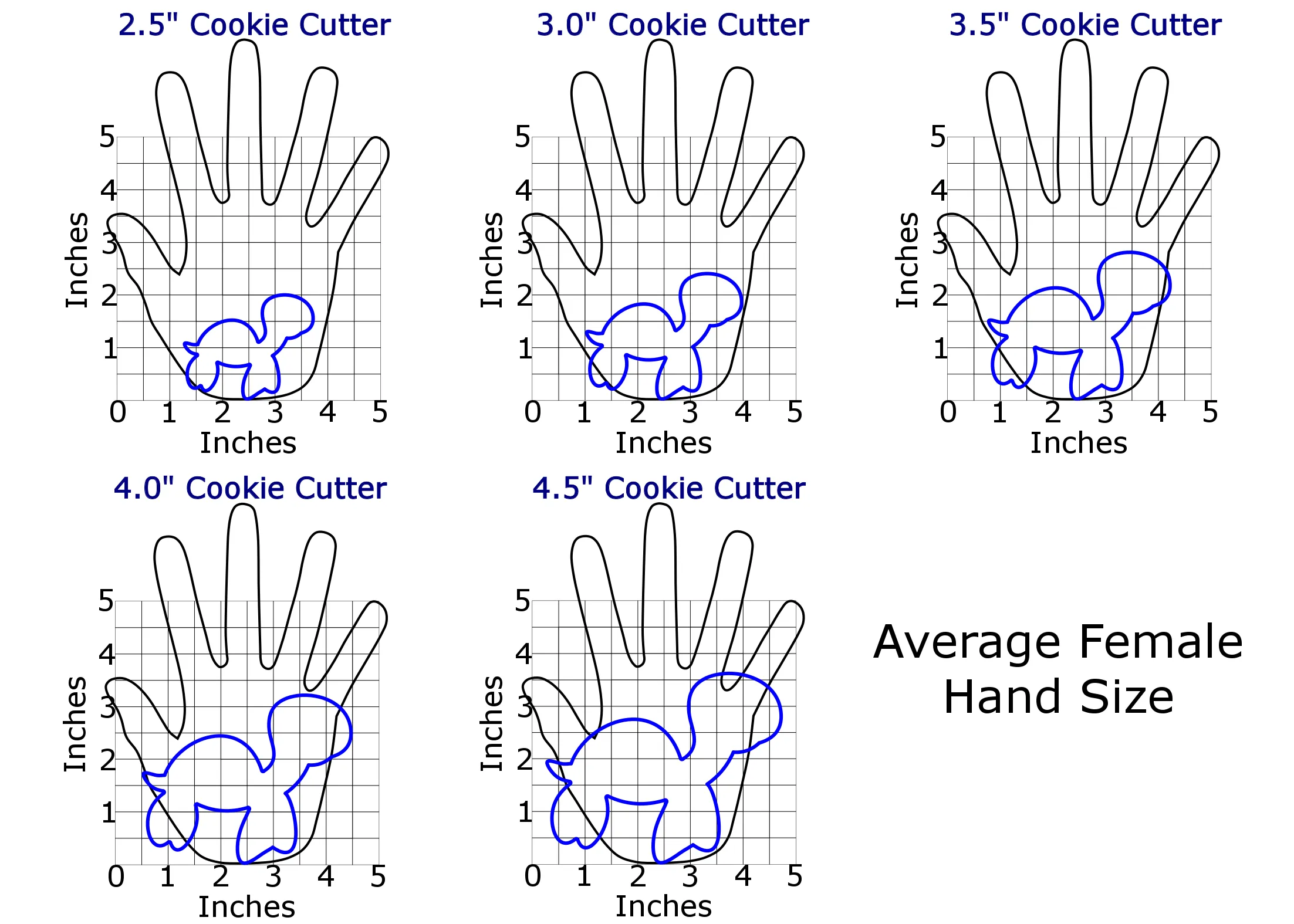 Sea Turtle #2 Cookie Cutter