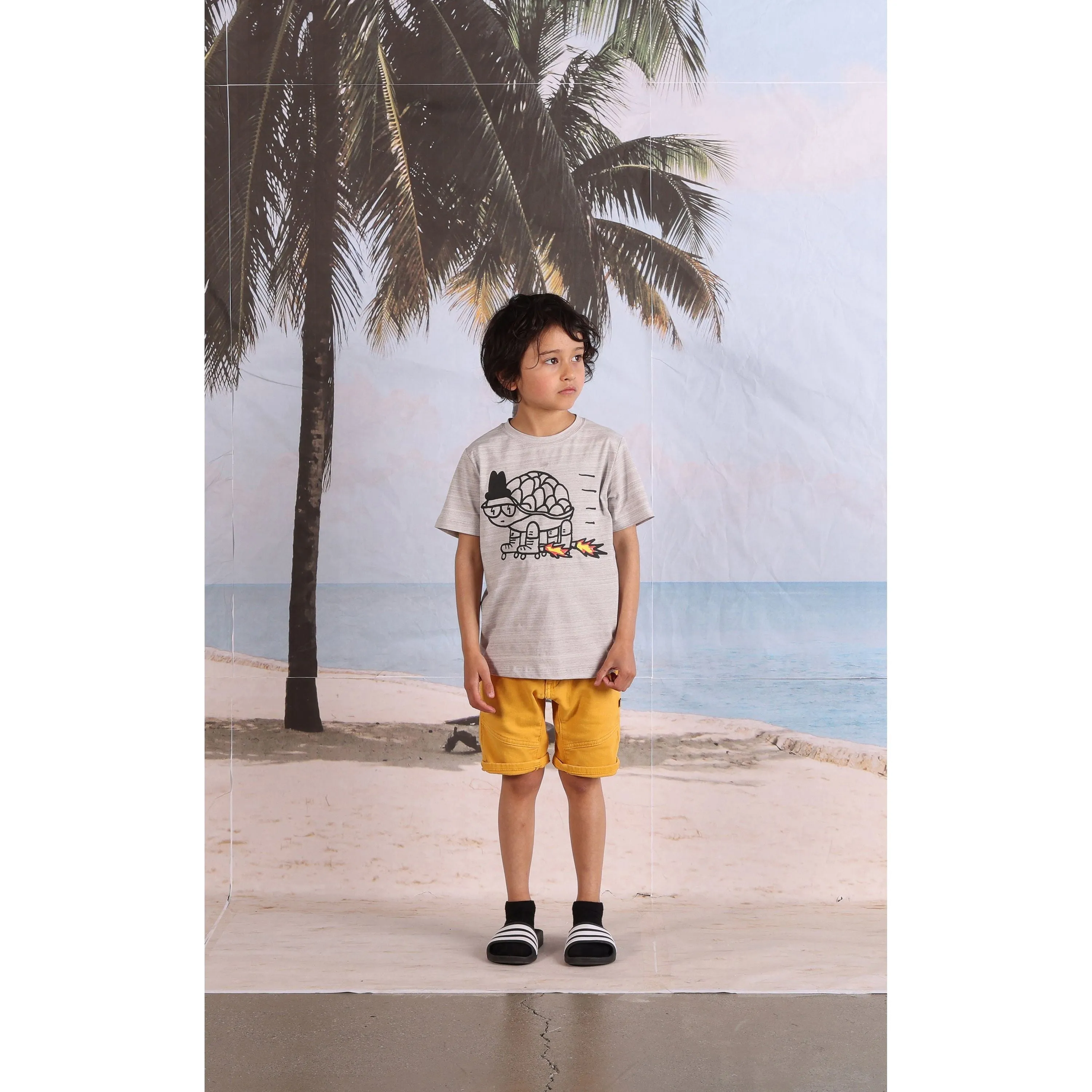 Speedy Turtle Tee- Grey Motley