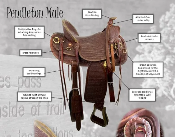 The Classic Slick Fork Mule Saddle