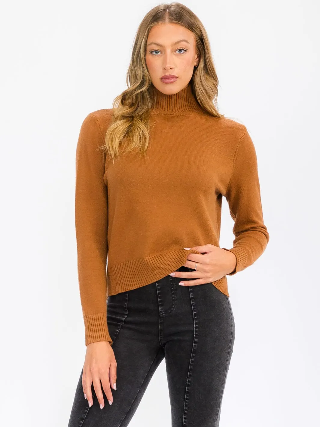 WOMEN'S LONG SLEEVE TURTLE NECK BLOUSE TOP