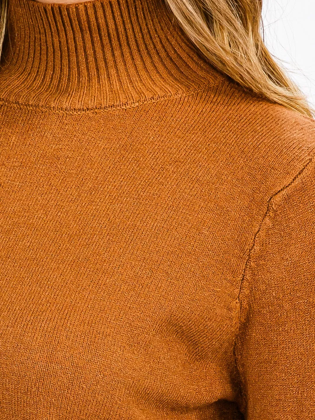 WOMEN'S LONG SLEEVE TURTLE NECK BLOUSE TOP