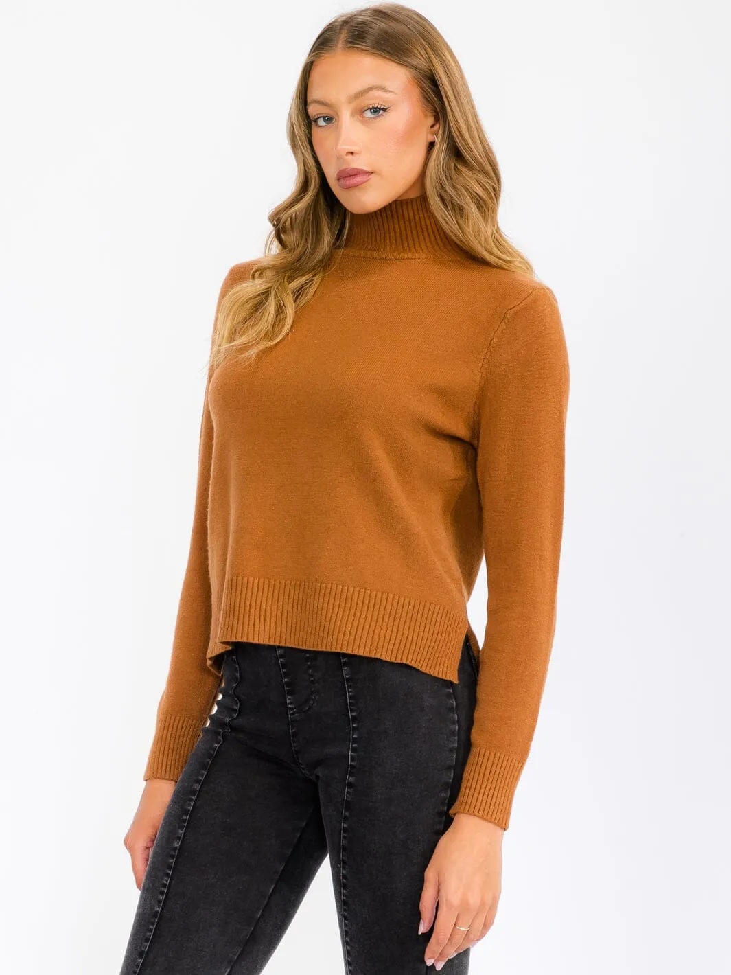 WOMEN'S LONG SLEEVE TURTLE NECK BLOUSE TOP